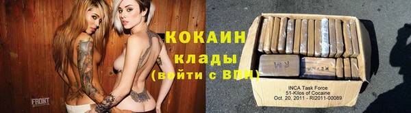 молекула духа Осташков
