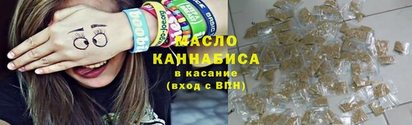 молекула духа Осташков