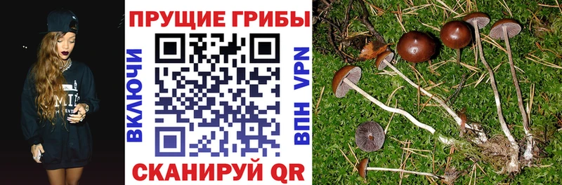 мега ссылки  Подпорожье  Псилоцибиновые грибы ЛСД 